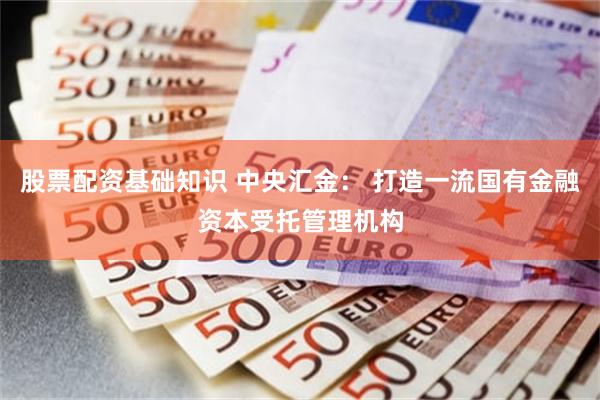 股票配资基础知识 中央汇金： 打造一流国有金融资本受托管理机构