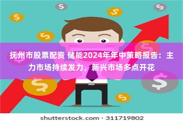 抚州市股票配资 储能2024年年中策略报告：主力市场持续发力，新兴市场多点开花