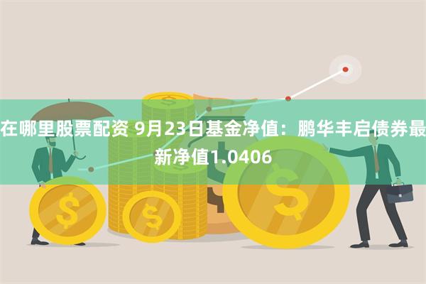 在哪里股票配资 9月23日基金净值：鹏华丰启债券最新净值1.0406