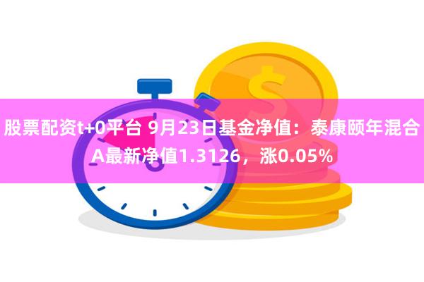 股票配资t+0平台 9月23日基金净值：泰康颐年混合A最新净值1.3126，涨0.05%