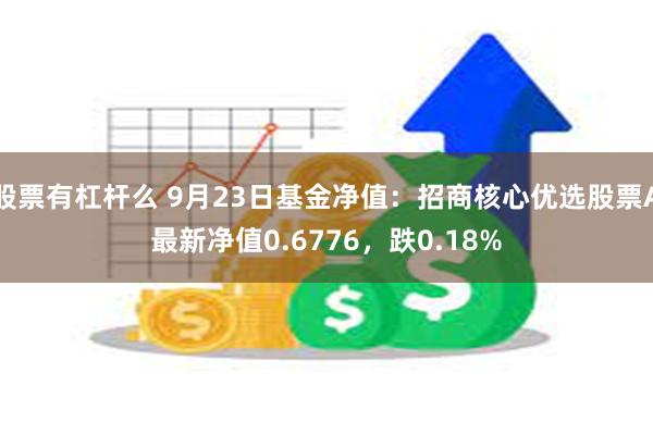 股票有杠杆么 9月23日基金净值：招商核心优选股票A最新净值0.6776，跌0.18%