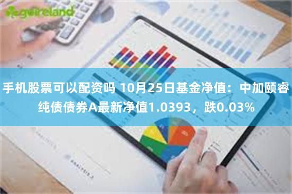 手机股票可以配资吗 10月25日基金净值：中加颐睿纯债债券A最新净值1.0393，跌0.03%