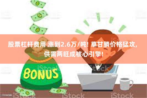 股票杠杆费用 涨到2.6万/吨! 草甘膦价格猛攻, 供需两旺成核心引擎!